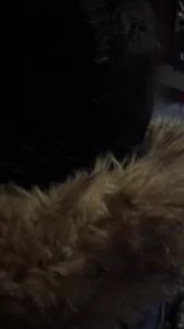 06年大二妹子KTV口爆